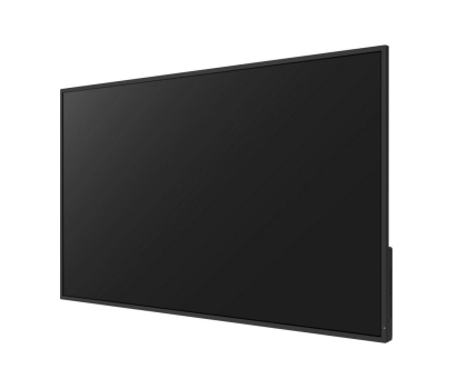Monitor Avtek Avtek DS 43